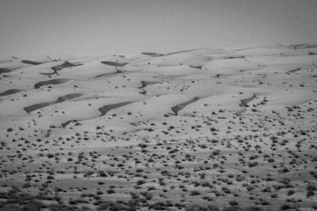 Mooie duinen in Wahiba Sands