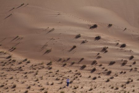 Syl wandelt naar een enorme zandduin