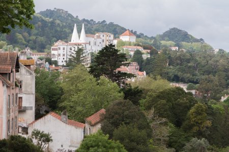 De typische schoorstenen van het paleis van Sintra
