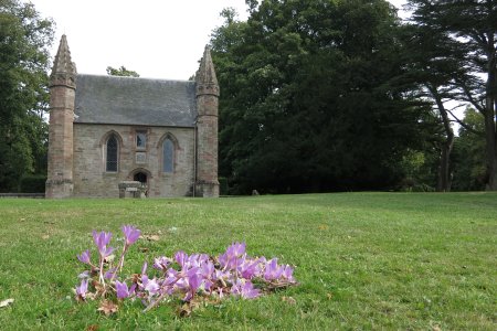 Moot Hill Chapel