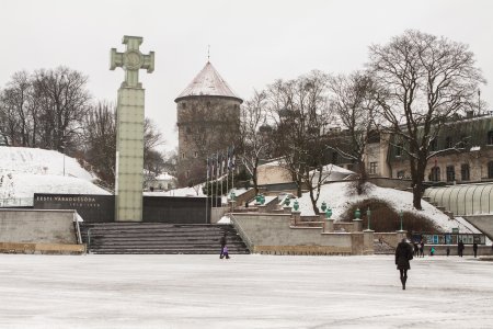 Het omstreden vrijheidsplein van Tallinn