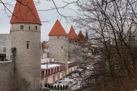 Tallinn 2014
