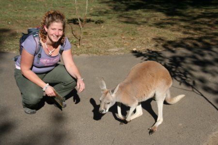 Syl bij een kangaroe
