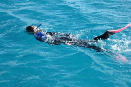 Snorkelen in het Great Barrier Reef