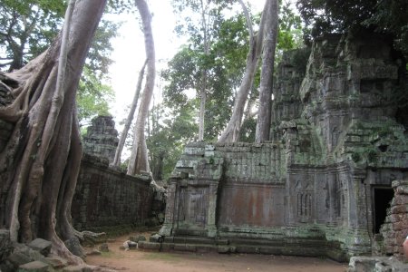 De overwoekerde tempel van Angkor Thom