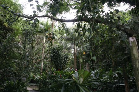 Garden of the Sleeping Giant