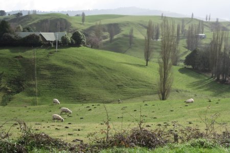 The Shire, het gebied waar de hobbits wonen