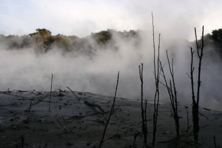 Thermische activiteit in een meer in Roturua