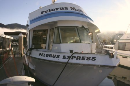 De boot waarmee we door de Pelorus sound zijn gevaren