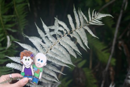 Het embleem van vele bedrijven, de Silver Fern (varen)