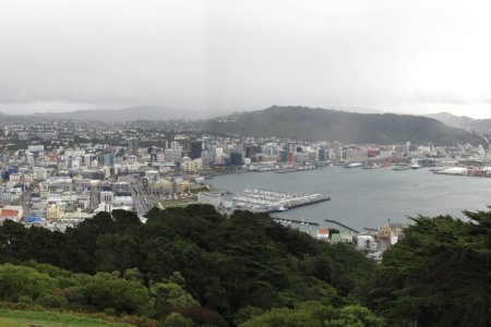 Nieuw Zeeland, Wellington vanaf Victoria hill