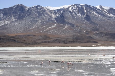 Een van de prachtige meren, met flamingo&#039;s