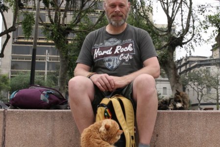 Pat het poezenmannetje, met 3 katten